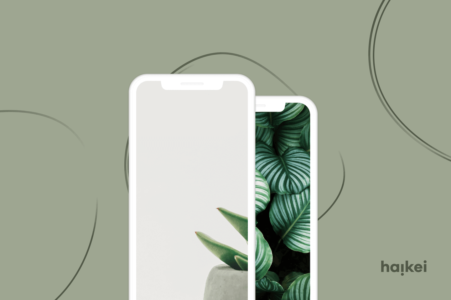 Generate Unique Svg Design Assets Haikei